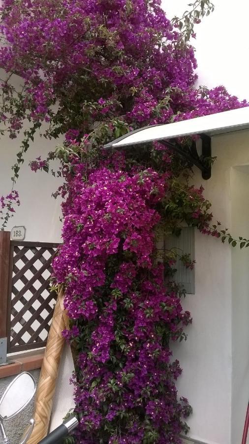 Rainbow House With Garden Villa Viareggio Exterior foto